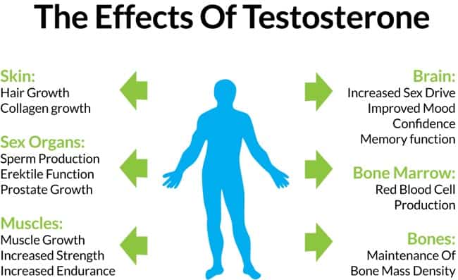 Testosterone Injections Increase Libido